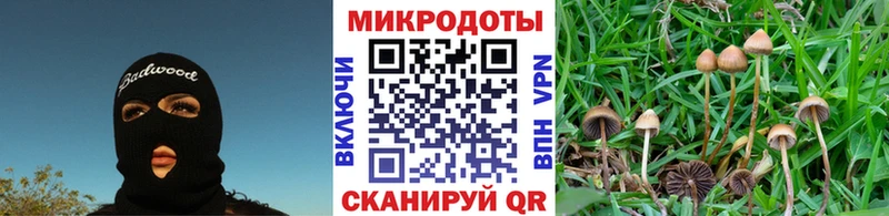 ссылка на мегу как войти Калтан Галлюциногенные грибы Cubensis наркошоп